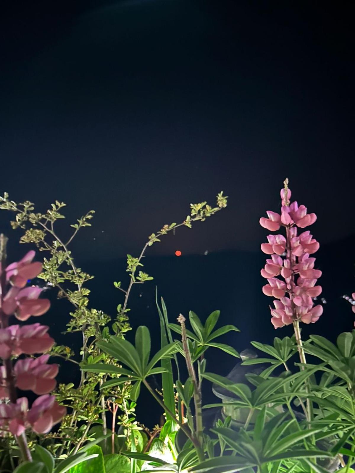 Murmincho Homestay Darjeeling  Dış mekan fotoğraf